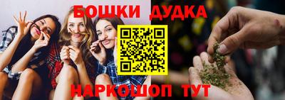 прущие крисы Бийск