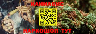 прущие крисы Бийск