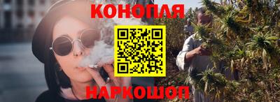 стаф Берёзовский