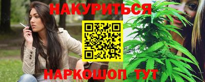 прущие крисы Бийск