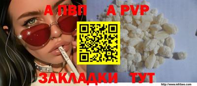 стаф Берёзовский
