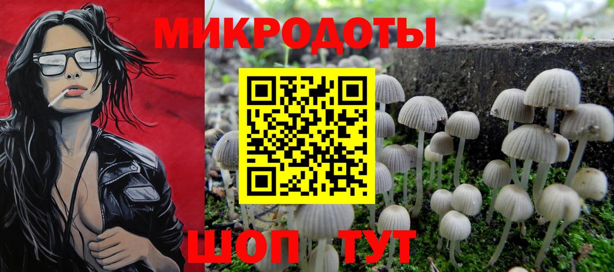 Псилоцибиновые грибы Psilocybe  купить наркотик  Воронеж  Вход с VPN 